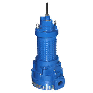 bomba de rotor 1