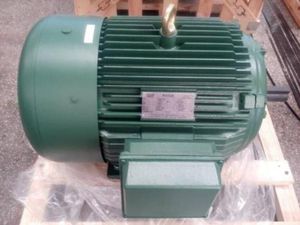 motor trifásico