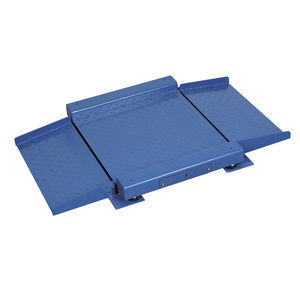 balanza de plataforma 1