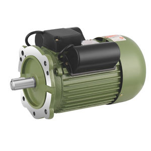 motor de inducción 1