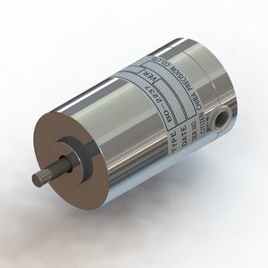 motor brushless 1