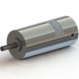 motor brushless 1