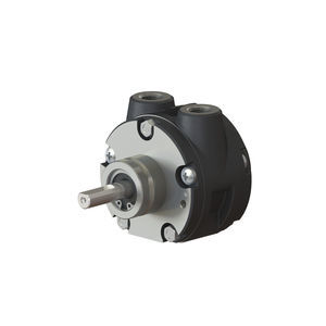 motor neumático con paleta 1