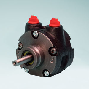 motor neumático con paleta