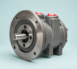 motor neumático con paleta 1