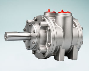 motor neumático de paletas 1