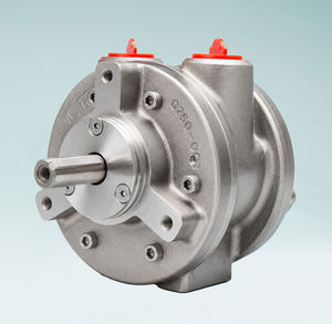 motor neumático con paleta 1