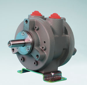 motor neumático con paleta 1
