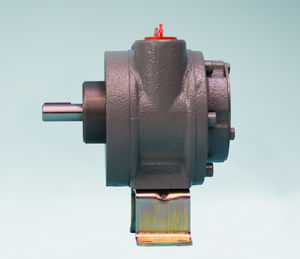 motor neumático con paleta 1