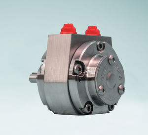 motor neumático con paleta 1