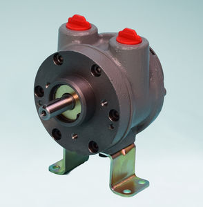 motor neumático con paleta 1