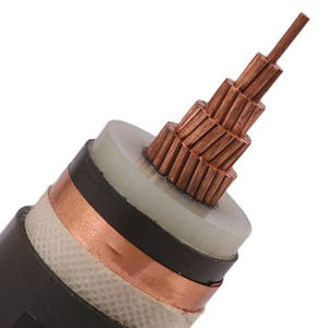 cable eléctrico de alimentación 1
