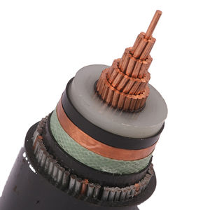 cable eléctrico de alimentación 1