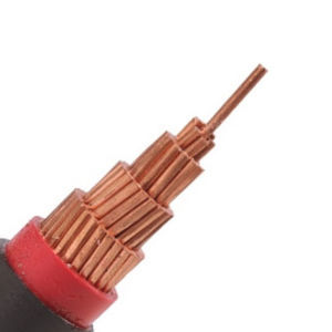 cable eléctrico de alimentación 1