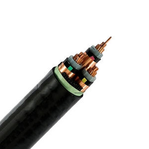 cable eléctrico de alimentación 1