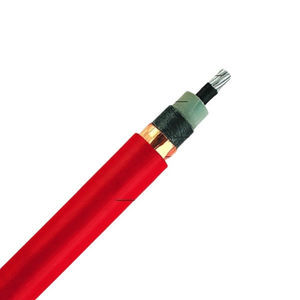 cable eléctrico de alimentación 1