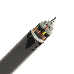 cable eléctrico de alimentación 1