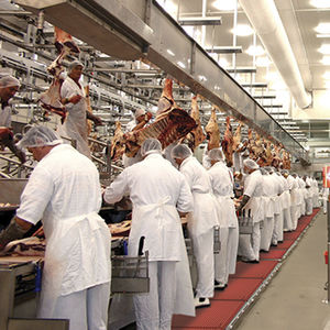 alfombra antifatiga / de caucho nitrilo / de burbujas / para la industria agroalimentaria