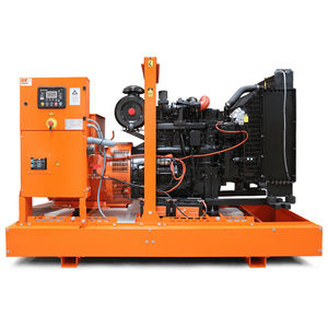 grupo electrógeno diésel 1