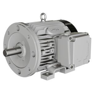 motor NEMA
