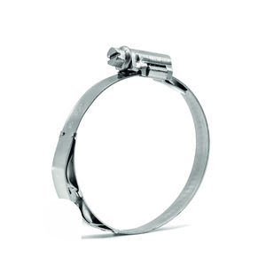 clip de acero inoxidable