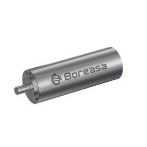 motor brushless