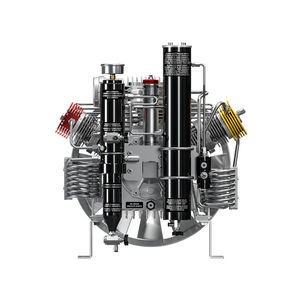 grupo compresor de gas 1