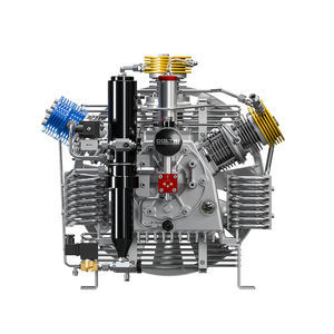 grupo compresor de gas 1