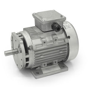 motor asíncrono