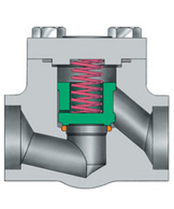 válvula de retención de clapeta
