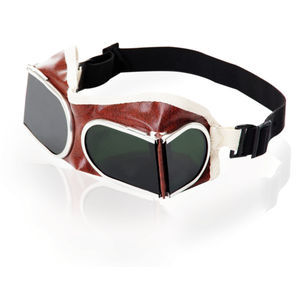gafas panorámicas de protección UV