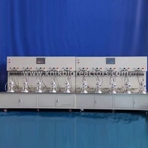 biorreactor/fermentador de depósito agitado