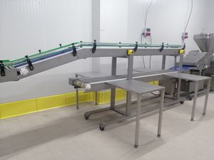 sistema de transporte para la industria alimentaria y de la bebida
