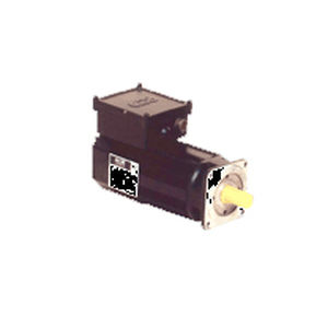 servomotor brushless 1