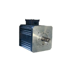 servomotor brushless 1