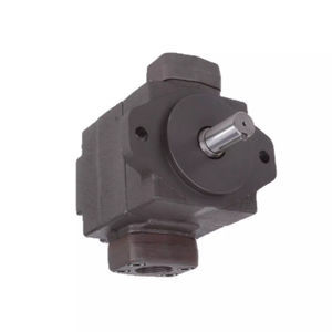 bomba de tornillo 1
