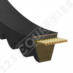 correa trapezoidal 1