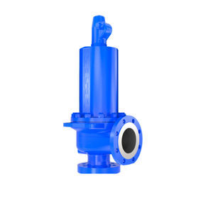 válvula de seguridad de gas