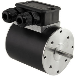 motor reversible 1