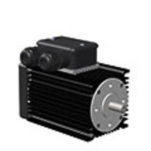motor brushless 1