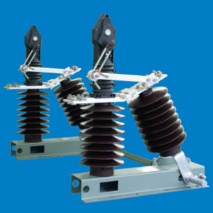 interruptor seccionador 2 polos