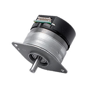 motor brushless 1