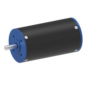 motor brushless