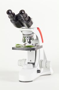 microscopio óptico