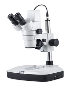 estereomicroscopio óptico