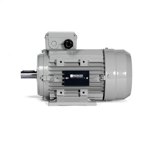 motor IE4