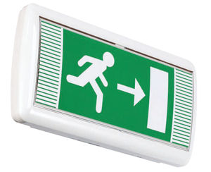 luz de emergencia 1