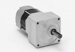 motorreductor DC 1