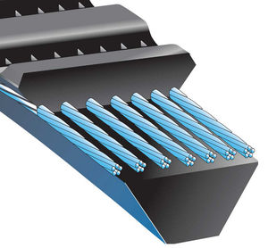 correa trapezoidal