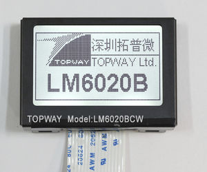 módulo de visualización LCD 1